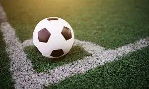 重金属在植,物中的检测,技术,OD体育官网,OD体育直播,体育赛事直播,足球直播