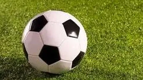 “财经资讯早餐：11月24日 星期一 东方财富”